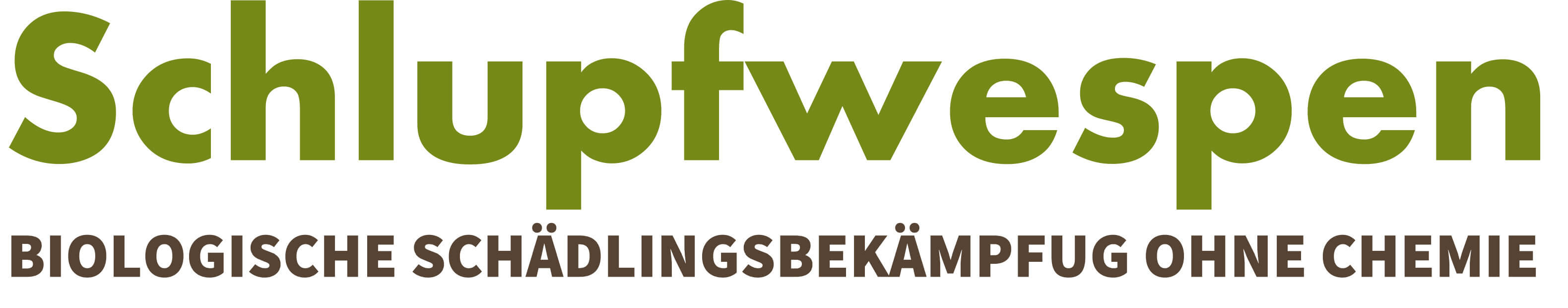 Schlupfwespen die biologische Schädlingsbekämpfung ohne Chemie